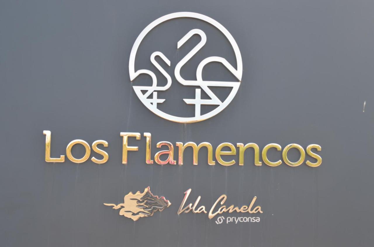 Flamencos Excellent & Solmares * Isla Canela